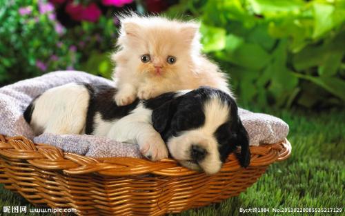 ɽһС5δůνģ31չů